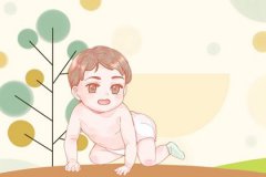 戌时出生男孩预测命运：是不是命不好？生活无忧一生平稳安定