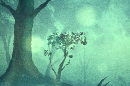 属兔的富豪出生在几月 六月份出生则天生富贵