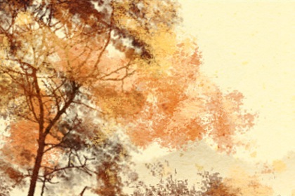 属兔的几点出生最命苦 倔强固执命运坎坷成功不易