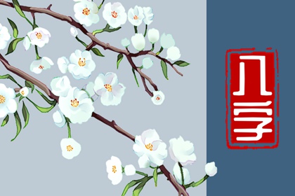 属兔命大富大贵的三大出生日 初一出生则大富大贵