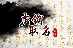 比较潮的麻辣小海鲜店起名字:创意新潮的海鲜店名