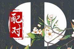 女属虎男属猴婚姻配对：适合做夫妻吗？并非是完美匹配