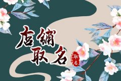 有创意的玩具店起名字:令人流连忘返的名字