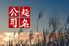 代理记账公司名字大全：会计公司起名