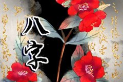 最容易富有的十大日柱：命理测算丁亥日柱贵人扶持