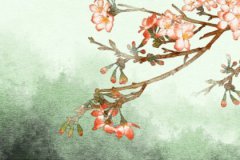 癸卯年的丁火很惨吗？运势测算调整目标迎接挑战