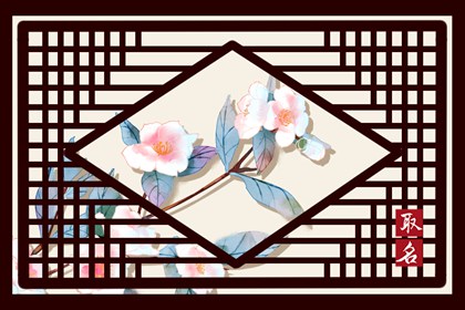 好听网店名字简单大气 有个性的网店名称大全