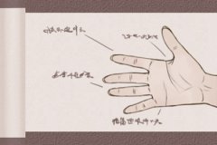 手相大全女:看相算命天生有福气的女人手相