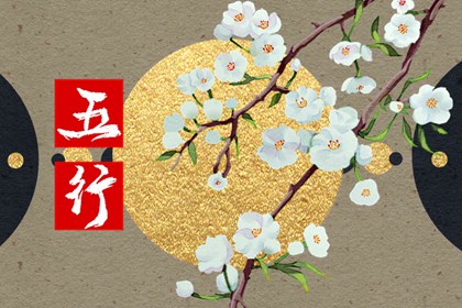 五行缺金最好的补救办法 可以养鱼 五行缺金最好的补救办法 可以养鱼