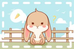 属兔的人几月份出生最好呢？八字测五行属兔几月出生最好命