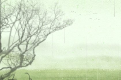 2023年谷雨出生的男孩名字 谷雨出生的孩子命运如何