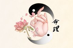 女生清明节出生好吗？命理测算清明节的女孩有创造能力