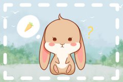 属兔女孩几月出生最好?命理测算几月属兔女最命好