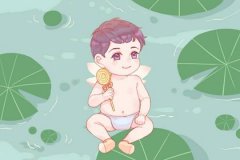 属兔败月是什么意思?运势预测败月有什么影响