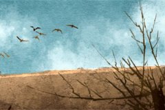 女命日柱最好的十个：运势测算丁酉日柱祖业丰富