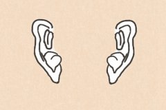 耳朵周围的痣图解:看相算命耳朵有痣的说法