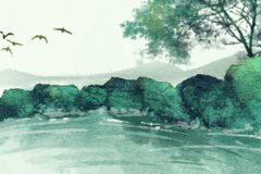 为什么都说黑兔年不能生孩子？运势预测有什么原因