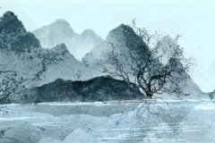 甲木命最好10大命格：运势预算五行阴阳平衡福气满满