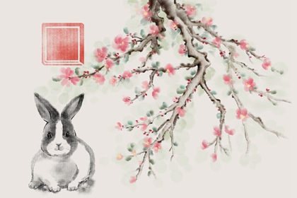 2023年属兔农历二月出生好吗 命苦不苦 2023年属兔农历二月出生好吗 命苦不苦