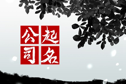 公司名字好寓意 大气吉祥的好名字