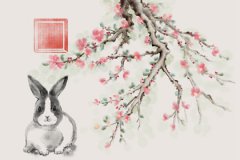 2023年属兔九月出生好吗？命理测算2023年兔宝宝最忌哪个月生