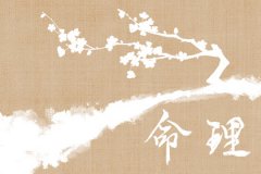 2023年谷雨出生的宝宝好不好？命理测算性格开朗活泼