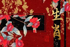 郑博士*十二生肖周运详解4.17-4.23