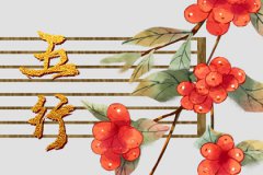 命里缺木适合做什么行业？运势测算缺木找个五行木旺的女朋友合适吗