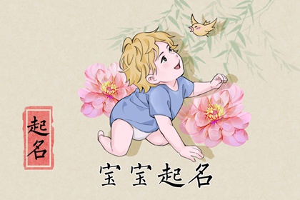 2023属兔男孩名字宜忌 2023年男孩取名大全