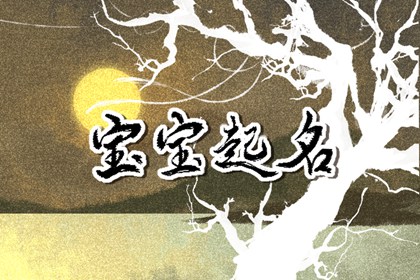 2023年属兔名字带什么好 2023年属兔起名分享