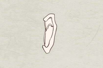 水耳面相 五行耳朵富贵吉凶分析