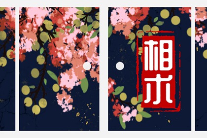 面相父母宫 父母宫面相全解