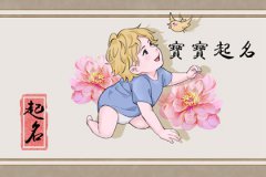 2023年属兔取什么名字:吉祥旺运的宝宝起名字