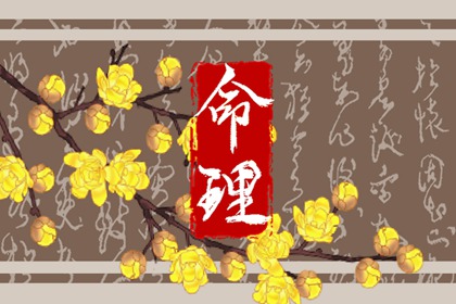 2023年各月出生的兔宝宝命运 属兔出生每月详解 2023年各月出生的兔宝宝命运 属兔出生每月详解