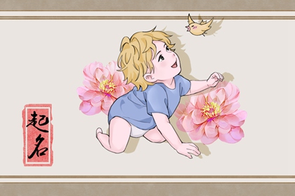 属兔的男孩取名 男孩洋气点的属兔名字 属兔的男孩取名 男孩洋气点的属兔名字