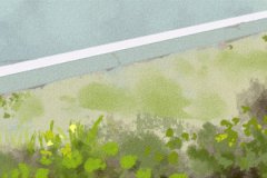 2023年属金木水火土哪一个：八字测五行属性是什么