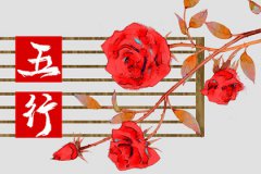 五行缺水是不是寿命短：八字命理对身体健康有很大的影响