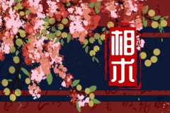 下巴凹进去一个窝面相：子息运势测算旺盛