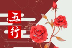 五行缺水的人发不了财：运势测算缺水女人命理特征