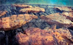 软硬八字大揭秘：如何辨别命运的优劣？_玄易算命网址大全