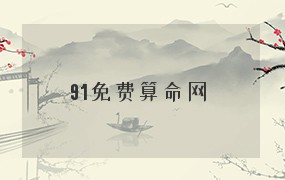  91免费算命网 