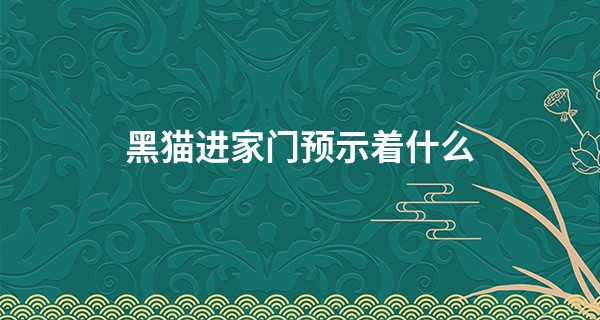 黑猫进家门预示着什么