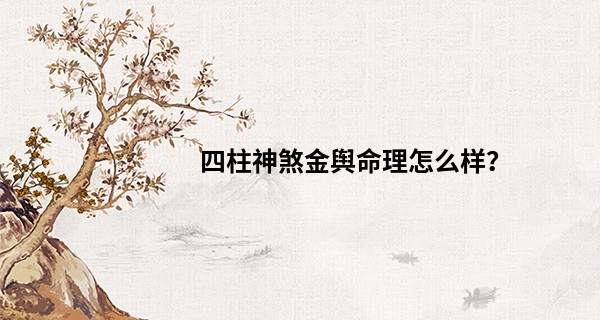 四柱神煞金舆命理怎么样？