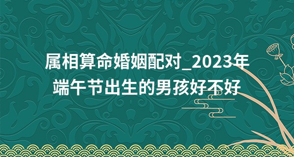 属相算命婚姻配对_2023年端午节出生的男孩好不好 命运怎么样