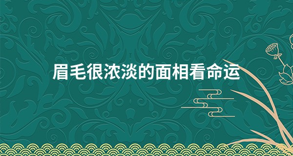 眉毛很浓淡的面相看命运