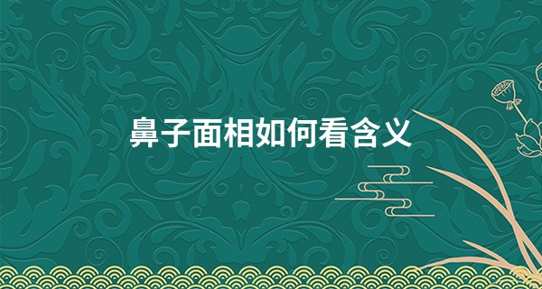 鼻子面相如何看含义