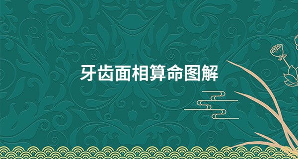 牙齿面相算命图解