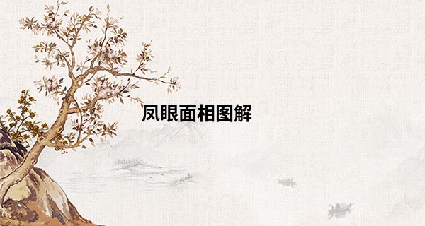 凤眼面相图解