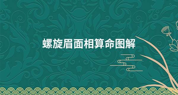 螺旋眉面相算命图解