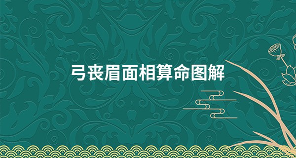 弓丧眉面相算命图解